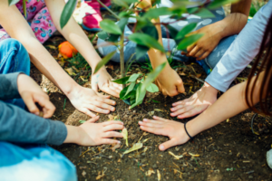 a group of people planting together