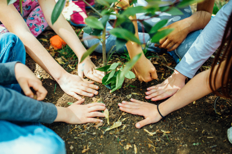 a group of people planting together
